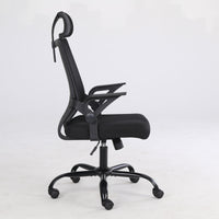 Ergonomic mesh executive office chair, computer chair with lumbar support and adjustable armrest, comfortable work desk and chair, suitable for conference office and family (black)